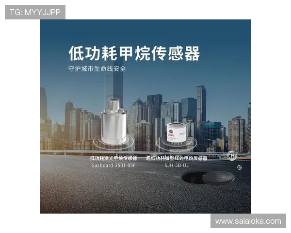 凯发K8国际站：全面解析其安全保障措施与用户体验优化方案