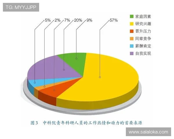伊朗对新西兰比赛场地选择对比赛结果的影响分析 伊朗对新西兰比赛场地选择对比赛结果的影响分析